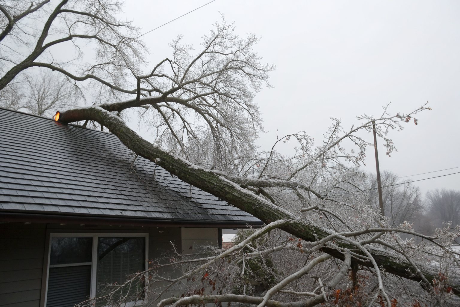 An ice-coated tree limb broken across the edge of a shingle roof under a gray winter sky